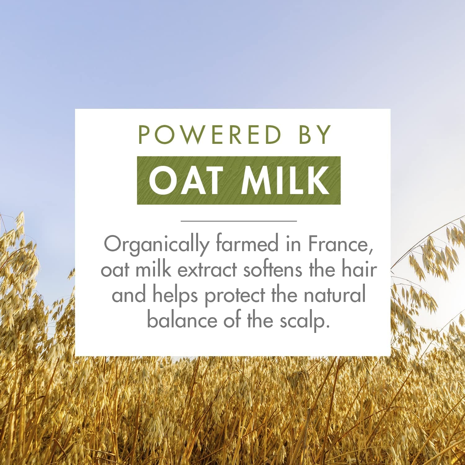 Eco-Friendly Dry Shampoo with Oat Milk 50G